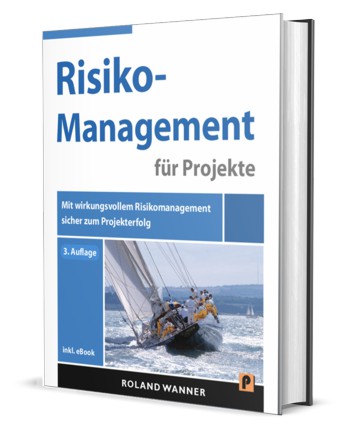 Risikomanagement Projekte Buch